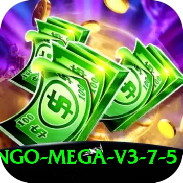 bingo - Mega v3.7.5 - 2